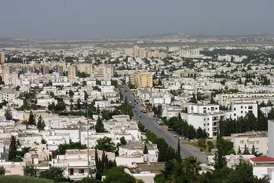 Tunis: medyna, Bardo i stolica Tunezji
