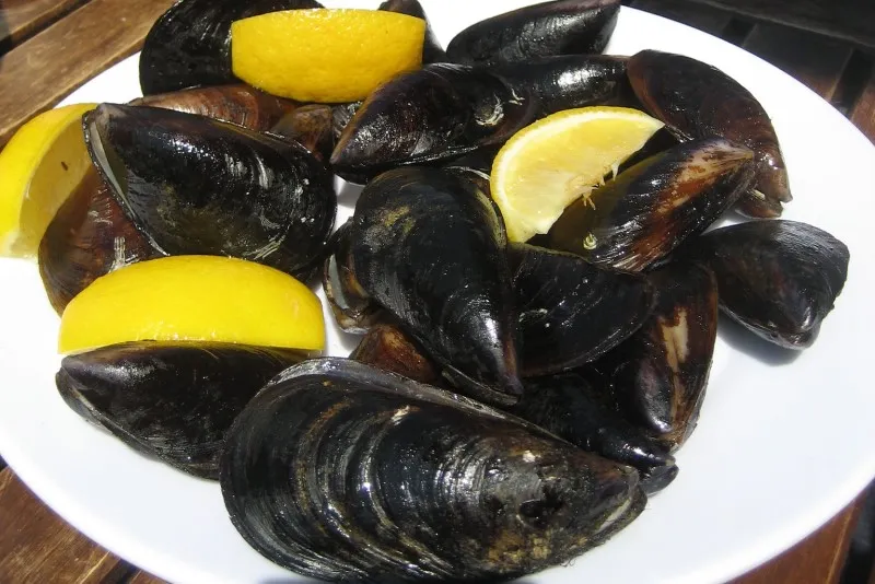 Turcja | Midye dolma – surowe mule faszerowane