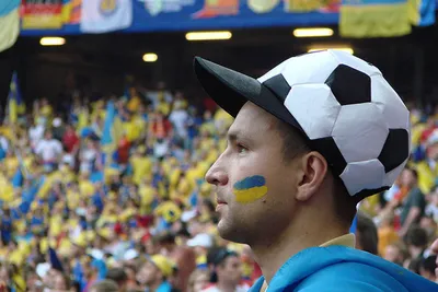 Ukraina w grupie D