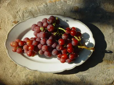 Festiwal młodego wina „Zakarpackie Beaujolais”