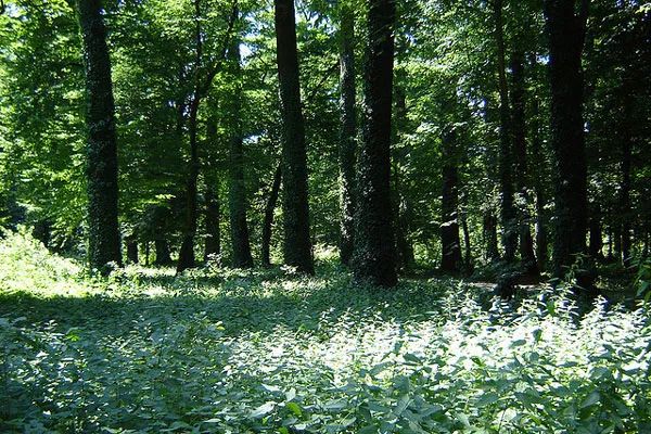 Chorwacja | Park Maksimir – zielone serce Zagrzebia Chorwacja | Park Maksimir – zielone serce Zagrzebia