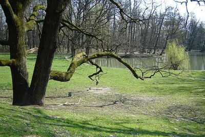 Park Maksimir